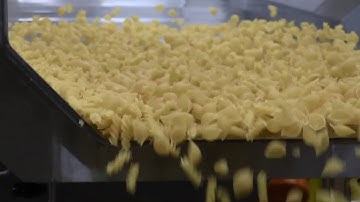 Vibrating Feeder with Dewatering Screen Feeding Pasta - Applied Vibration Ltd