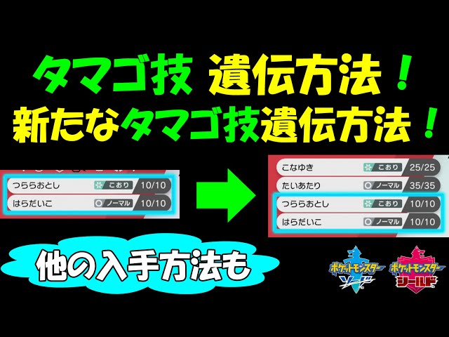 タマゴ 技 遺伝 方法 プログラム ニュース