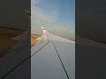 Finnair a350-900 departure from DFW #aviation #airbus #finnair