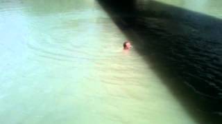 Wyatt Berry Lehi Bridge Jump