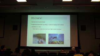 Lecture 30 - TA Yueqi (optical imaging)