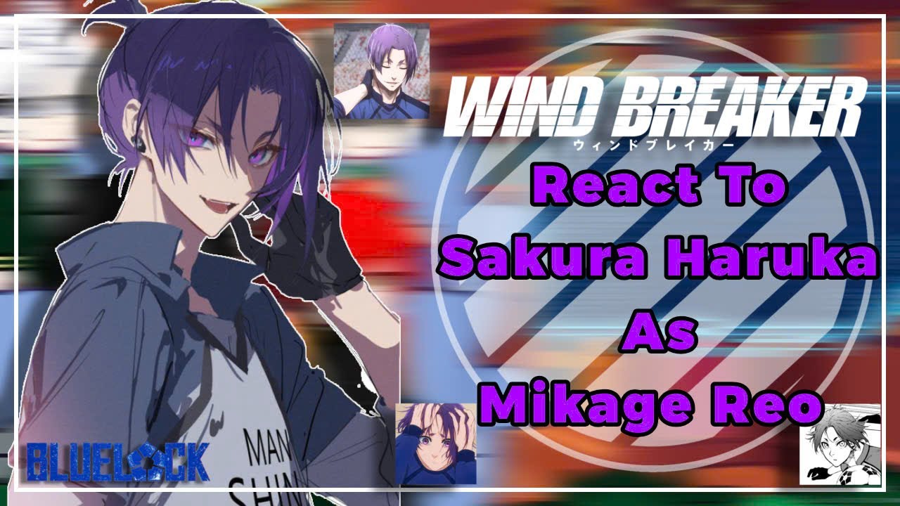 Wind Breaker React To Sakura Haruka As Mikage Reo || WB x Bllk || By:Yuuhi