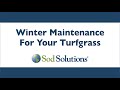 Winter maintenance tips for your lawn