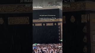 allah said in the quran....#allah #trust #quran #zuni's creation