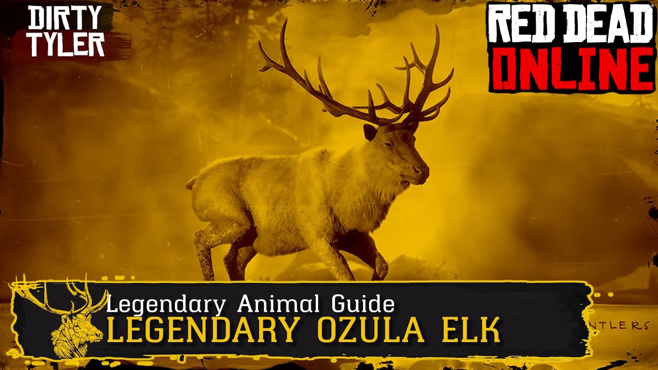 Legendary animal. Legendary Elk rdr2. Legend of animals. Legendary Elk half Chaps. Где найти Legendary Elk.