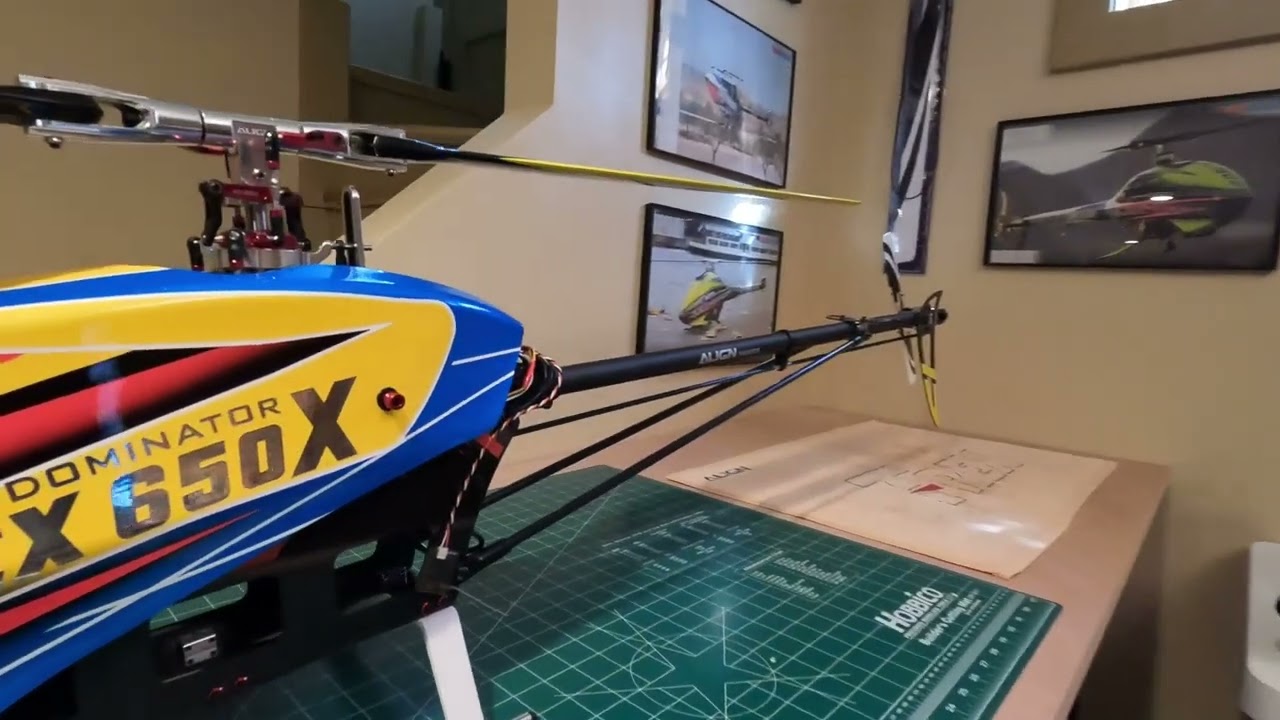 ALIGN  650x  DOMINATOR  stretched to 700x