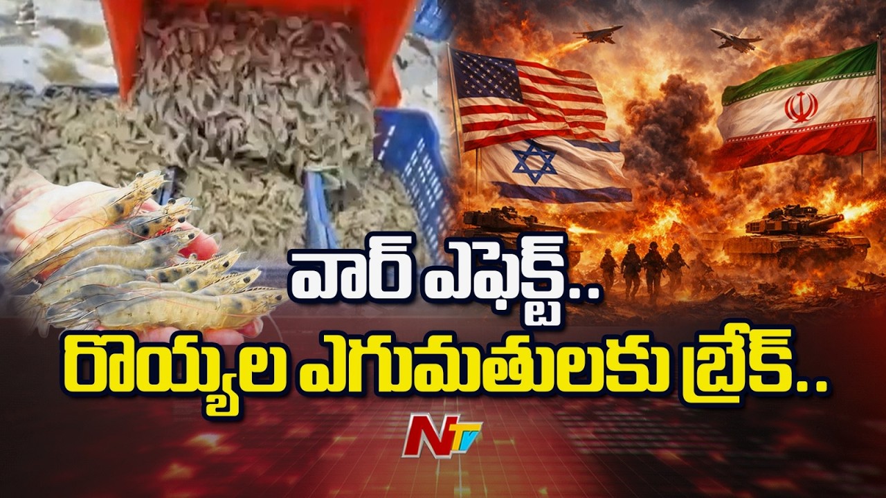 Middle East War Hits AP Aquaculture Exports | Special Report | NTV Telugu