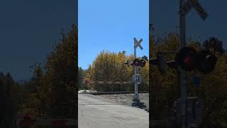 CSX B628 With a CN Citi Rail Unit 3984