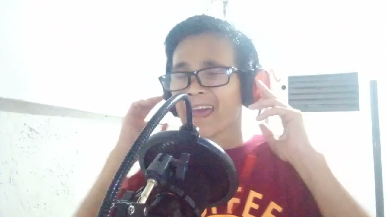 take me I fallow cover by skygin