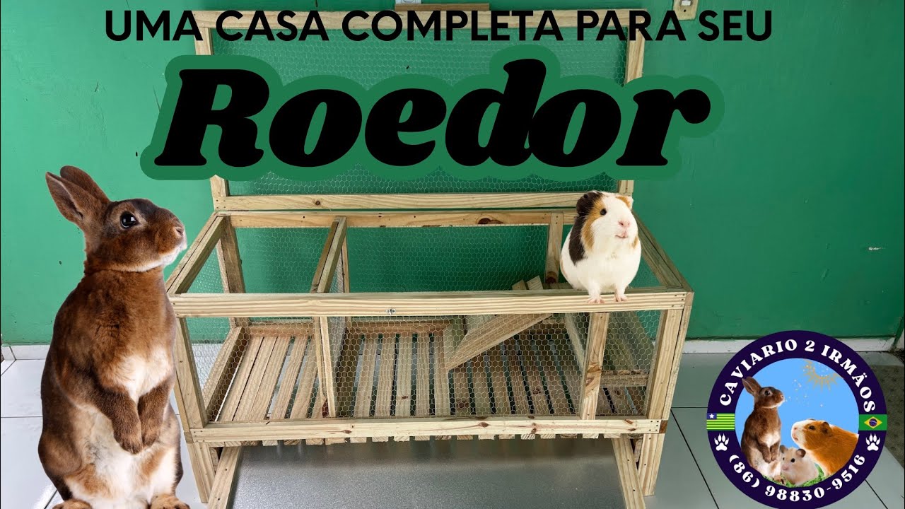 3 melhores alojamentos para porquinho da índia e coelho 🐇 🐹