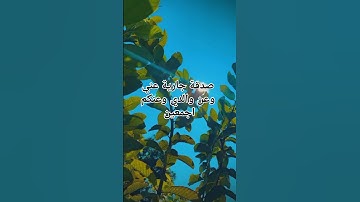 سوره الاخلاص #trending #cat #المصحف #foryou #freefire #لايك #اكسبلور #music #دويتو #funny
