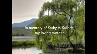 The Willow