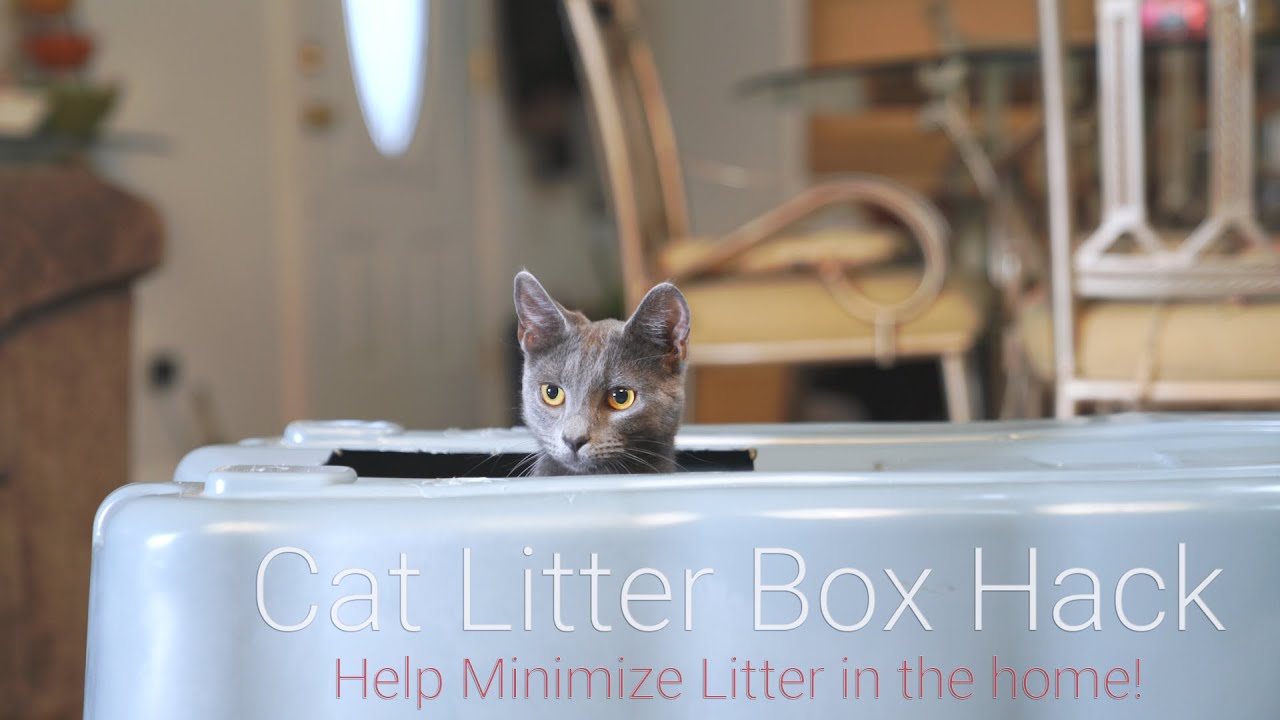 cat litter tracking solutions