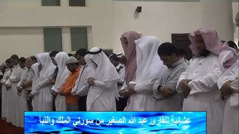 عشائية للقارئ عبد الله الصغير من سورتي الملك والنبأ 3\11\1434