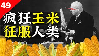 养胖美国、救援中国、苏联挚爱玉米如何主宰世界【一条闲木鱼】