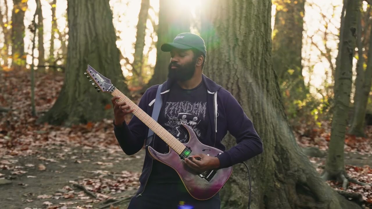 Fall Of The Albatross - Labrakadabrador Guitar Playthrough w/ Harold McCummings