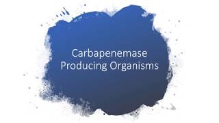 Carbapenemase Producing Organisms[Worldwide Problem]