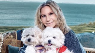 How Pet Owners Like Barbra Streisand Clone Their Dogs