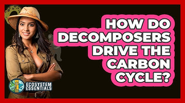 How Do Decomposers Drive The Carbon Cycle? - Ecosystem Essentials
