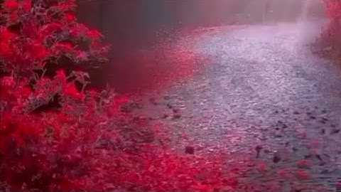 دعاء راحة البال #قرآن #اذكار #explore #رزق #اكسبلور #foryou #viralvideo #دين #استغفرالله #اسلام#رائج