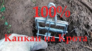 Как ПОЙМАТЬ КРОТА. Капкан на крота. Борьба с кротами. 100 % РАБОЧАЯ кротоловка. Средство от кротов.