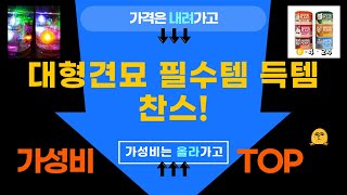대형견고양이 필수템 대방출! 득템 찬스! (마카롱/모래/사료/조명)