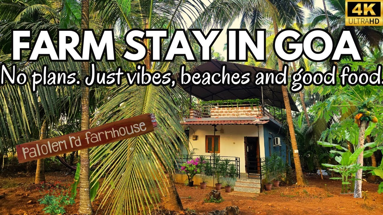 We did ABSOLUTELY NOTHING in Goa (And Loved It) |Goa Vlog | Goa Latest | South Goa| Indian village