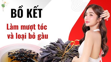 Các Cách Gội Đầu Với Bồ Kết Giúp Mượt Tóc Và Sạch Gàu -  Chăm Sóc Tóc Một Cách Tự Nhiên