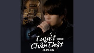 Tuyết Chân Thật (AM Remix)
