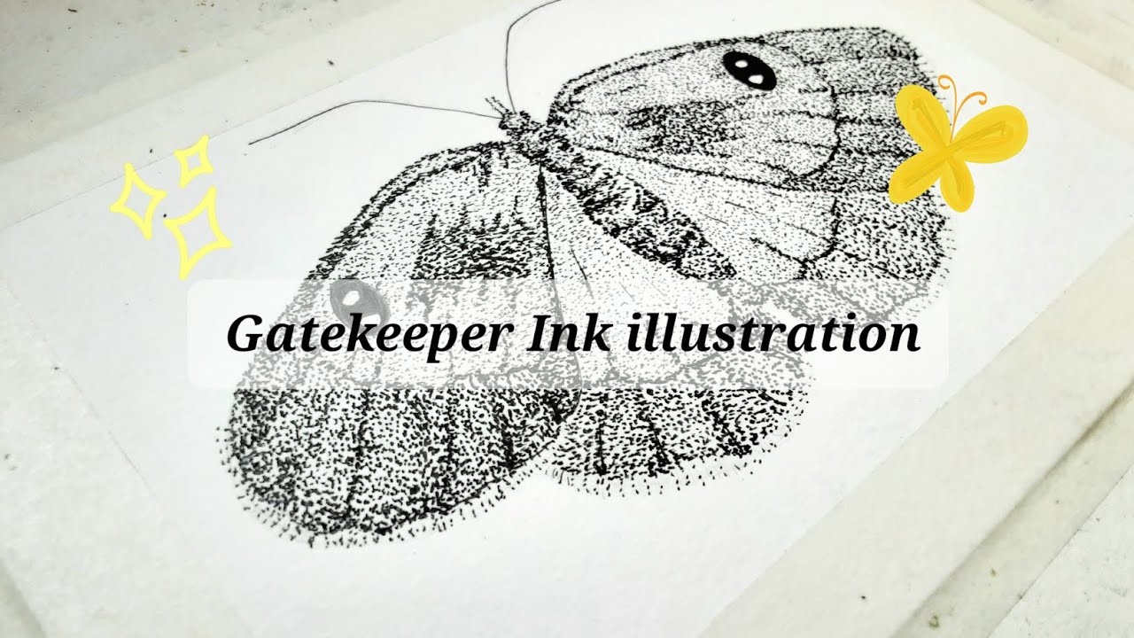 🦋 Gatekeeper butterfly//Ink stippling illustration ⭐ - YouTube