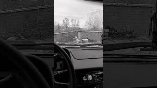 Tofaş Şahin Yağmurlu Hava Snap