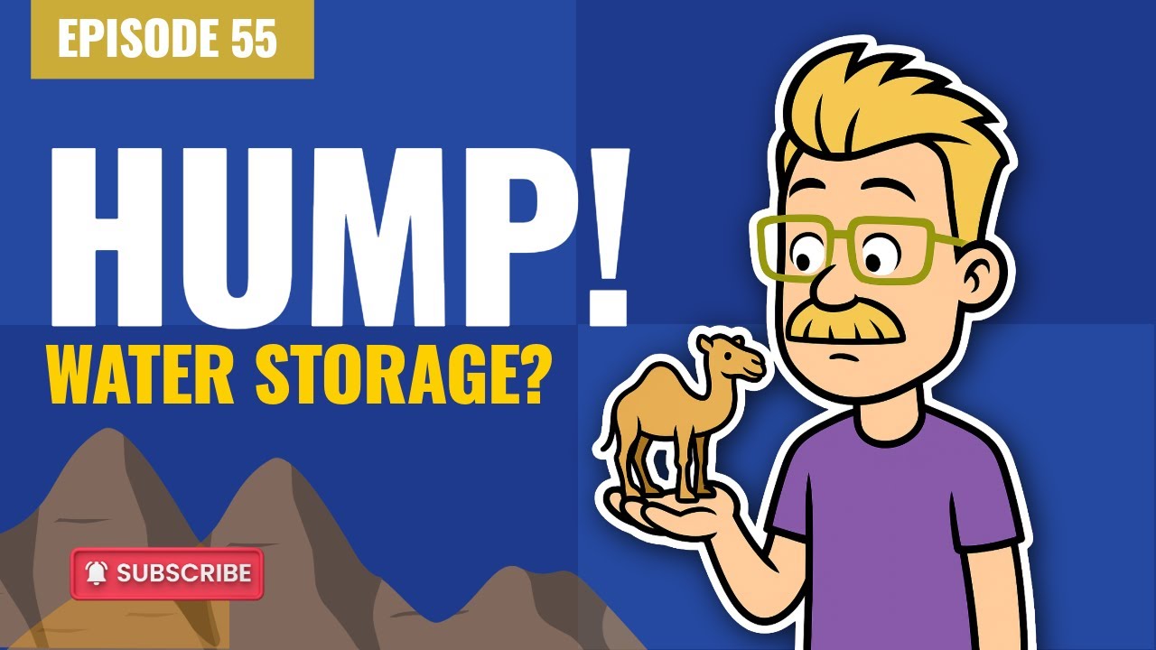 Why Do Camels Have Humps? | EP 55 | Desert Survival!