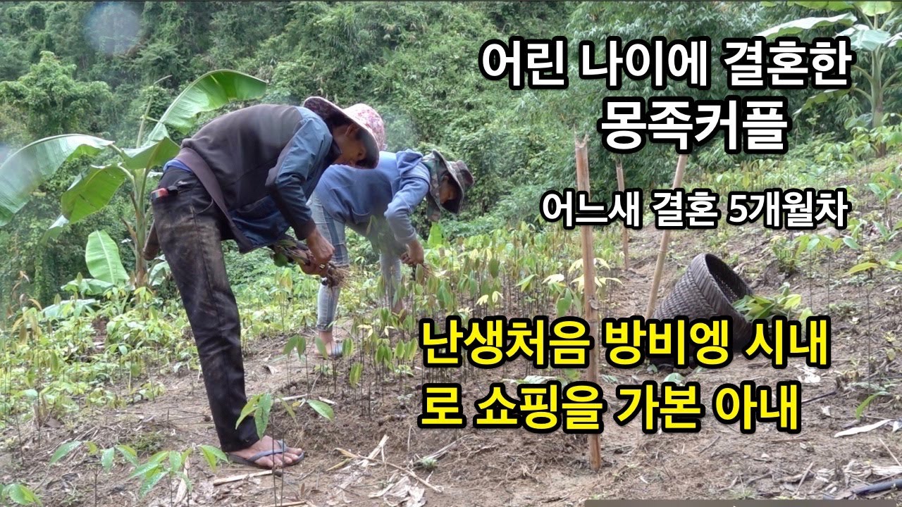 결혼 5개월차 몽족부부, 고무농장 주인이 되다.