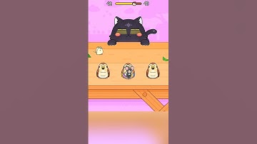 Hide & Seek Cat Escape - Level 42 #shorts