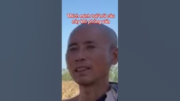 thích minh tuệ "nói câu này khi được phỏng vấn #suminhtue #doanvanbau #emcobanglongvequemecunganh