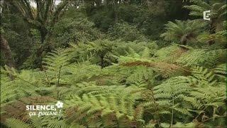 Visite du jardin de Monserrate - Silence, ça pousse !