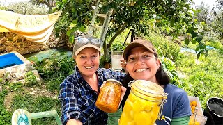 FERMENTING FUN WITH FRIENDS  Off Grid Homestead in Central Portugal