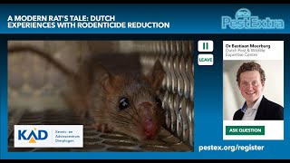 PestExtra: A Modern Rat’s Tale: Dutch Experiences With Rodenticide Reduction