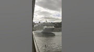 Thumbnail of Horn Typhon Kreuzfahrtschiff The World Funchal Madeira Schiffshorn cruise ship