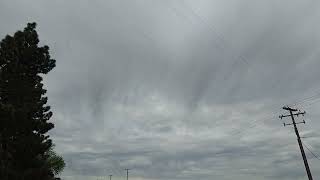 Mostly Cloudy Altocumulus & SSE Breeze, Lodi 11:07am Mar 27, 2024