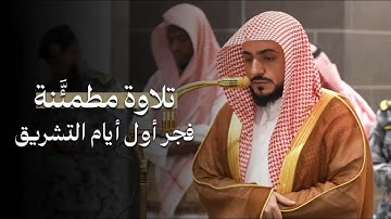 تلاوة مطمئنَّة من سورة يونس للشيخ د.الوليد الشمسان | فجر السبت 11-12-1446هـ