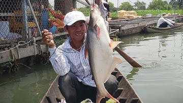 Thanh niên tập câu cá không ngờ trúng HuGo khủng ngoài sông hậu / Terrible fishing