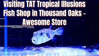 Visiting TAT Tropical Illusions Fish Shop in Thousand Oaks - #aquarium #fish