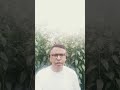 jute plant#short#viral