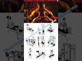 Full Body Workout at Home Equipment | Burn Fat & Build Muscle Fast #FullBodyWorkout #HomeWorkout