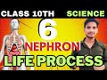 Nephron I CH-5 I Life Process I Class 10th I By-Vikas SiR I CCA