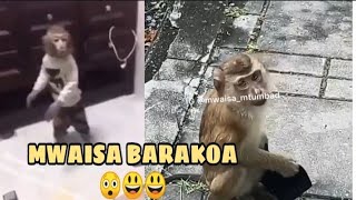 MWAISA FUMANIZI BAYA😁😁