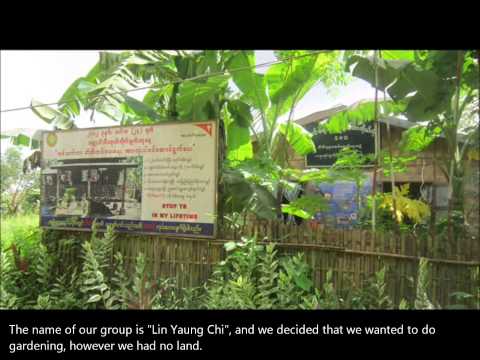 Video: Der Beitrag Des Community Based Tuberculosis Care Program Einer Nichtregierungsorganisation Zur Fallfindung In Myanmar: Trend Im Zeitverlauf