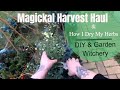 Magickal Harvest Haul + How I Dry My Herbs || DIY &amp; Garden Witchery