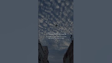 المال و البنون زينة الحياة الدنيا من سورة الكهف بصوت الشيخ راشد الأركاني